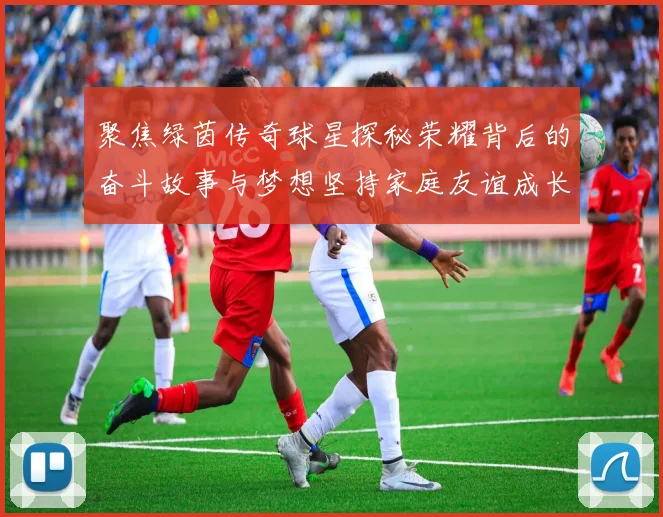 聚焦绿茵传奇球星探秘荣耀背后的奋斗故事与梦想坚持家庭友谊成长