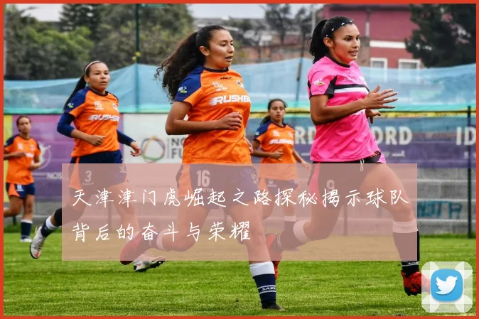 天津津门虎崛起之路探秘揭示球队背后的奋斗与荣耀