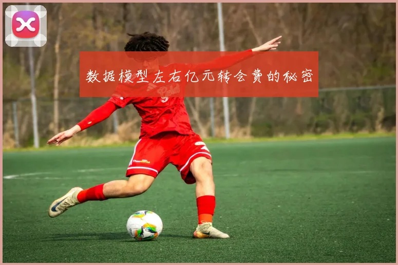 数据模型左右亿元转会费的秘密