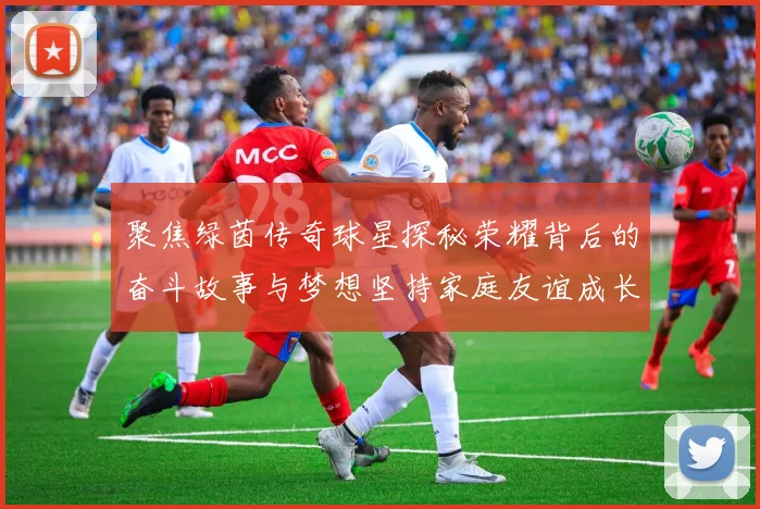 聚焦绿茵传奇球星探秘荣耀背后的奋斗故事与梦想坚持家庭友谊成长